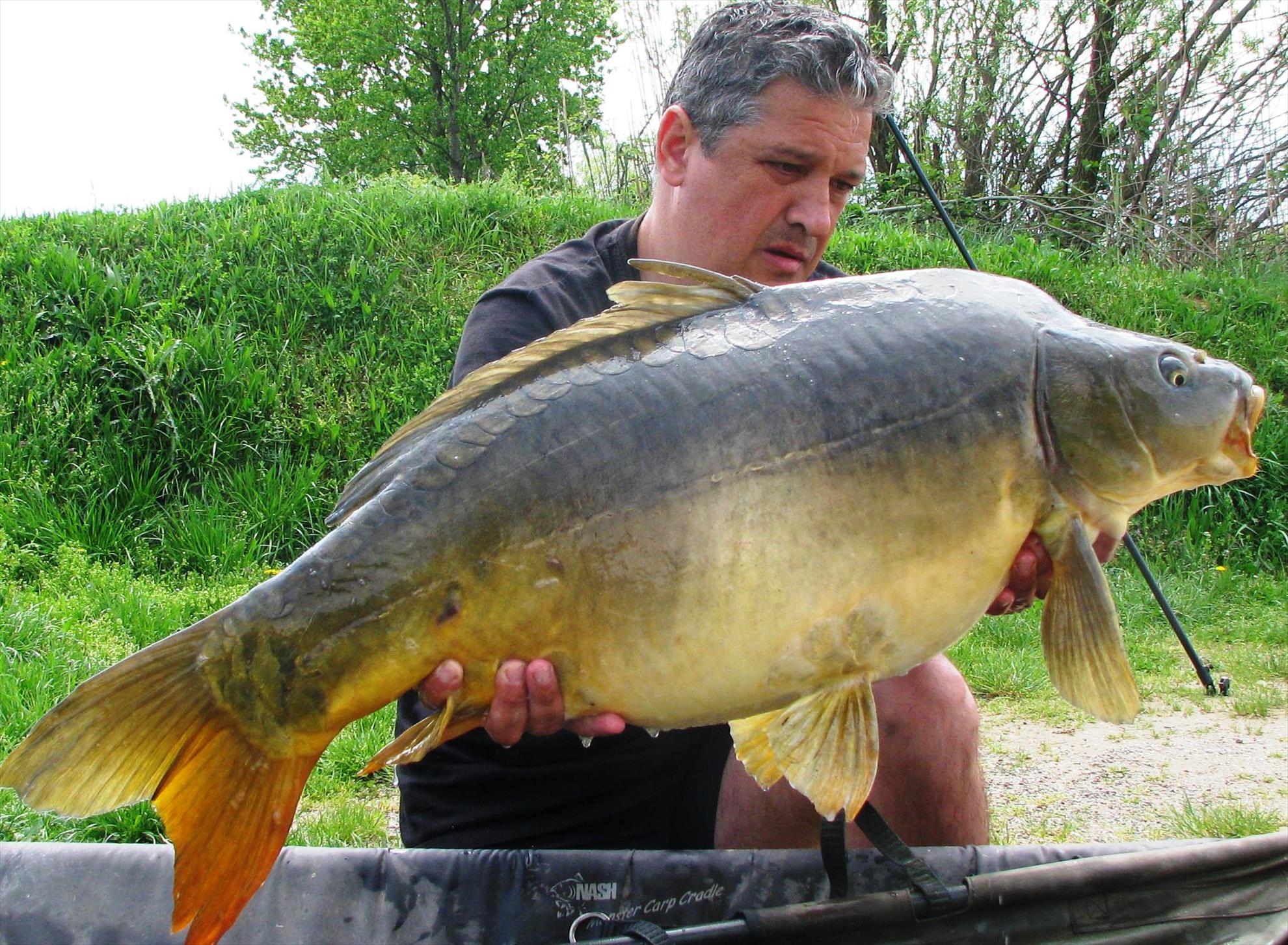 Pelagicevo Jezero  aprilie 2015 - img2068.JPG